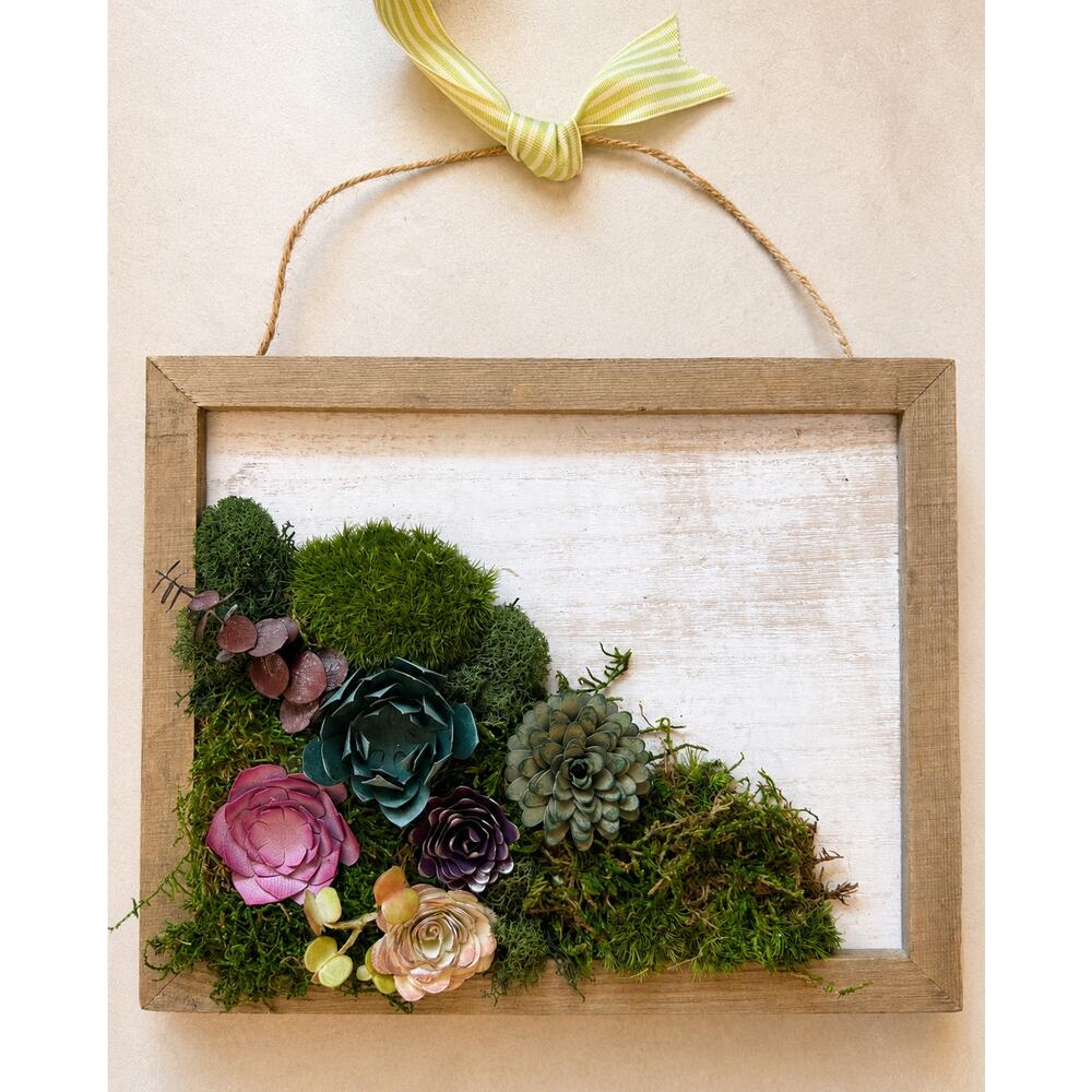 Handmade 8x10 Preserved Moss Wall Art w/ Paper Succulents Rustic Botanical Decor - Picture 3 of 12